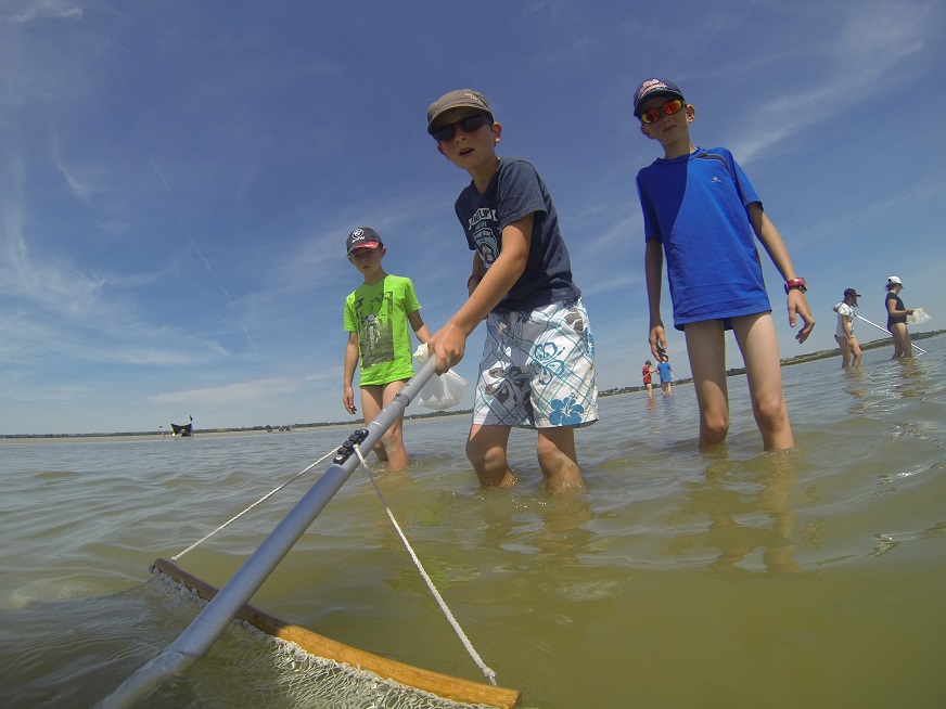 DCIM100GOPRO